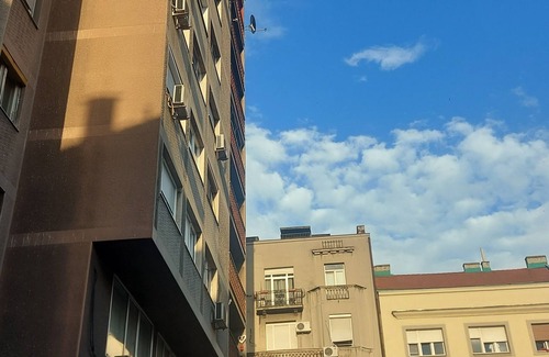 Savamala Apartamento | New apartment in central position