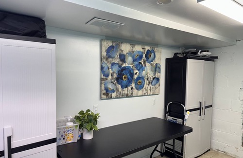 Ypsilanti Apartamento | NEW! Bright and Newly Remodeled Apartment Near EMU 1