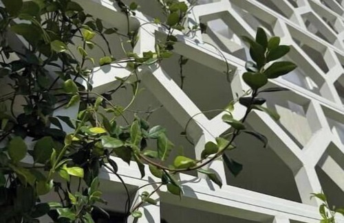 Westwind Condominio | New build - 1bd - Gated - Pool Beach and Gym access - Quiet Area