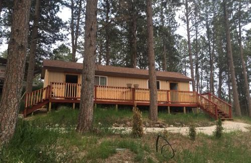 Custer Casa | New cabin 1 car rental available