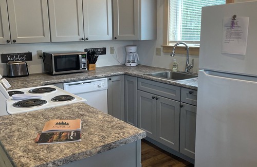 Greenville Cabina | New cabin/Downtown Greenville-Moosehead Lake, ME/WIFI/Dogs Ok/2 cabins available