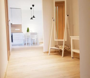 Druskininkai Apartamento | New CITY CENTER apartments