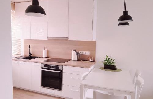 Druskininkai Apartamento | New CITY CENTER apartments