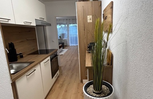 Schonach im Schwarzwald Apartamento | NEW: Exclusive Waldliebe apartment with indoor pool and sauna