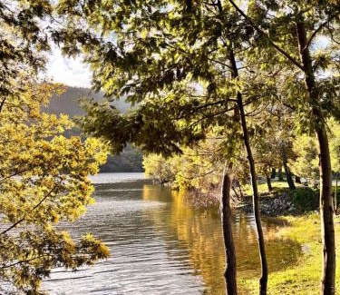 Serta Apartamento | New Flat with View over the River Zezere