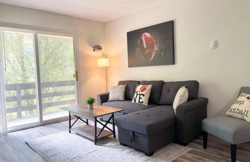 Canton Apartamento | New Hall Of Fame Apt! - 7 Min Walking Distance