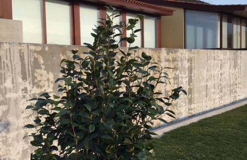 Vila Nova de Cerveira Casa | Casa nueva con 4 suites, hermosa vista al río.