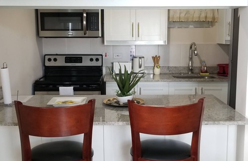 New Kingston Apartamento | New Kingston Guest Apt at Kingsway