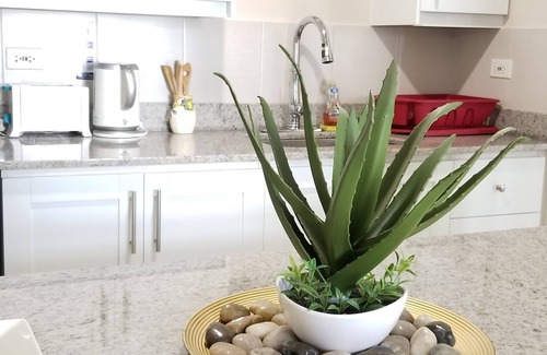 New Kingston Apartamento | New Kingston Guest Apt at Kingsway
