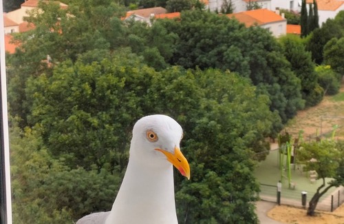 La Rochelle Apartamento | New: large, bright apartment with sea view near center and port
