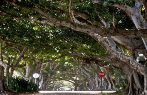 Coral Way Cabaña | 5 MINUTOS A PIE DEL CENTRO DE CORAL GABLES - LOFT SEXY
