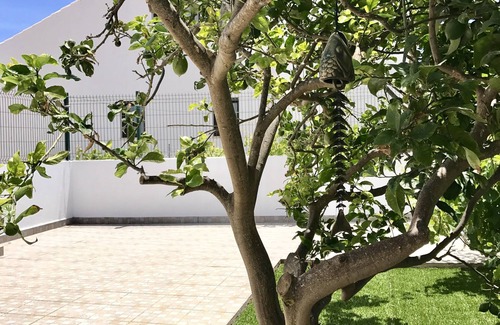 Sagres Casa | * NUEVA LISTA * Sagres House - Grandes patios, wifi gratis, TV por cable, estacionamiento privado