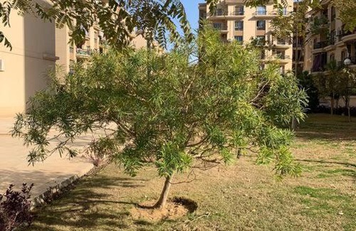 Al Rehab Apartamento | New Luxuriously Furnished Apartment in New Cairo