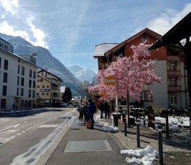 Matten bei Interlaken Apartamento | NEW. Matten Central Family Suite, sleeps 4