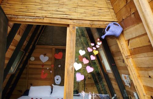 Xoxocotla Casa | New Natural Paradise Amazing Pet Friendly Cabin