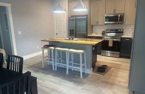 Wilmington Casa | New Pet Freindly Home in historic Downtown Wilmington with fenced yard