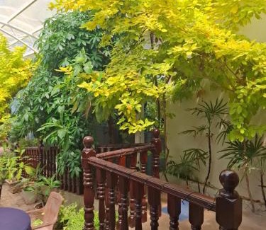 Kudapaduwa Casa | New Sea Joy Guest House