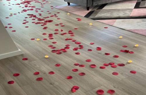 Downtown Baltimore Apartamento | New serene 5 min UMMC High ceilings We Love pets