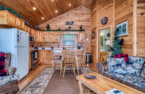 Wears Valley Cabina | NEW! Snuggle Bear Cabin in the Heart of the Smokies!