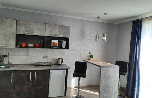 Kosuv Stary Apartamento | NEW studio Ap【WANT THIS】