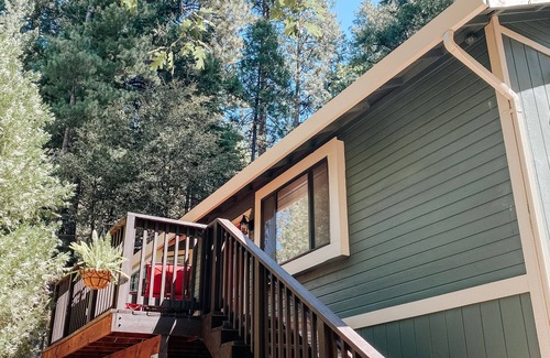 Twain Harte Cabina | New! Terrys Treehouse | Dog Friendly | Cozy Cabin