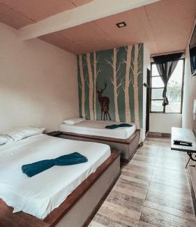 Acacias Casa | New Western
