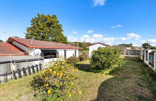 Kamo Casa | NewDay Whangarei