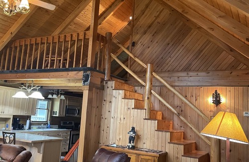 Chattaroy Cabina | Newly est. cabin close to trails, gas and great food!