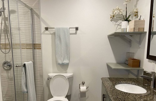 San Carlos Casa | Newly Remodeled! Large Bright Modern House Central