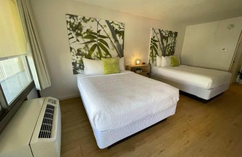 Kissimmee Hotel | Newly renovated room in cozy hotel near Disney 2