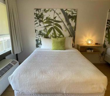 Kissimmee Hotel | Newly renovated room in cozy hotel near Disney 2