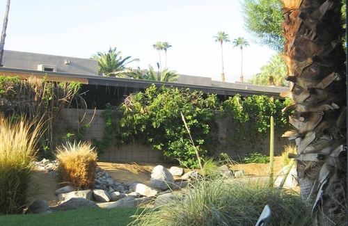 Palm Desert Apartamento | Recientemente renovado Estudio-Modern Life Style - pocas cuadras de El Paseo