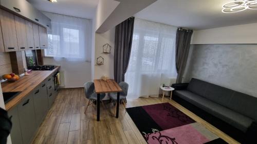 Ploiesti Apartamento | NGR Residence