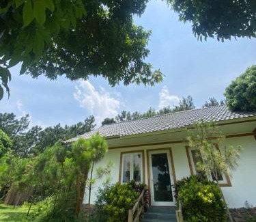Soc Son Apartamento | Nhà gác mái ven rừng gần Sân bay Nội Bài - Biệt thự con công