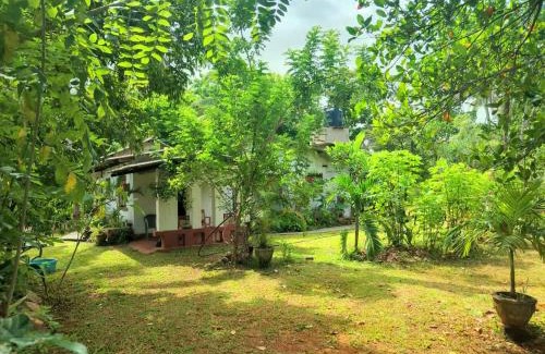 Anuradhapura Casa | Nibanda homes and tours