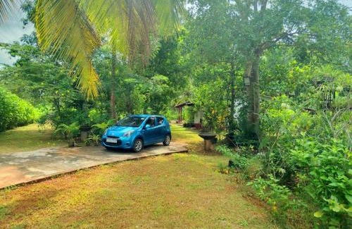 Anuradhapura Casa | Nibanda homes and tours