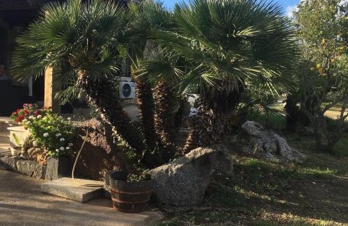 Orosei Casa | NicChia Turchese