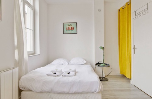 Saint-Maurice Pellevoisin Apartamento | Nice quiet studio in Lille-Europe - Welkeys
