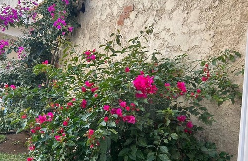 Jocotenango Casa | Nice and Cozy for 6 in Pastores Antigua Guatemala, 8 min from downton Antigua
