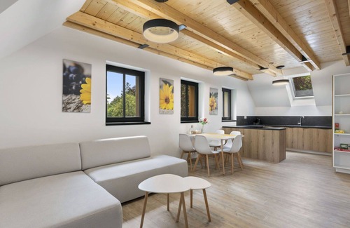 Janov nad Nisou Apartamento | Acogedor apartamento para 6 personas con WIFI, TV, terraza y aparcamiento