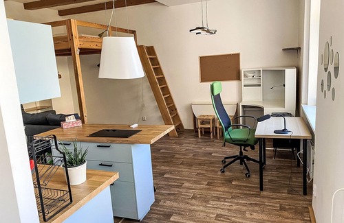 Holesovice Apartamento | Bonito apartamento para 2 personas con WIFI y mascotas permitida