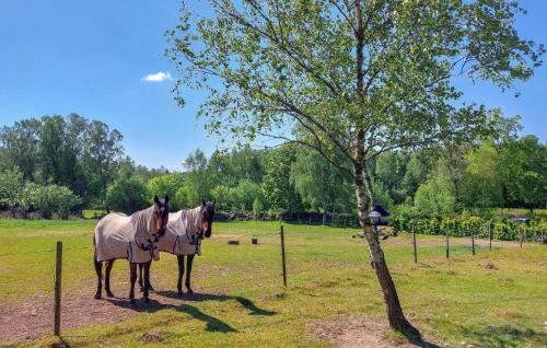 Munka-Ljungby Casa | Nice Home In Munka Ljungby