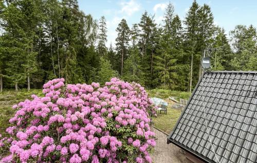 Vittsjo Casa | Nice Home In Vittsjö With Wifi