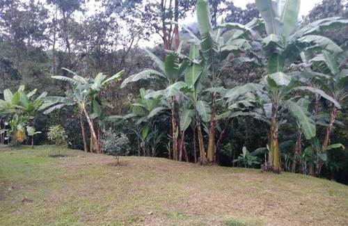 Tena Cabaña | linda casa de descanso en la reserva natural de pedro palo