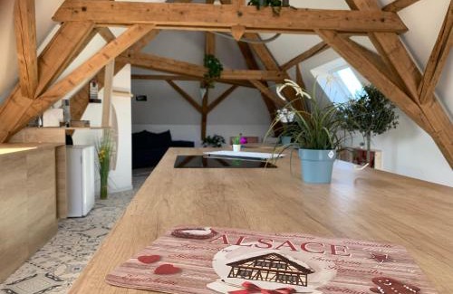 Illhaeusern Apartamento | Nid de cigogne