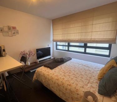 Poincare Apartamento | Nid douillet de la pie