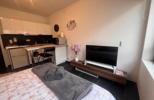 Poincare Apartamento | Nid douillet de la pie