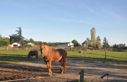 Poncins Complejo | Nid Douillet