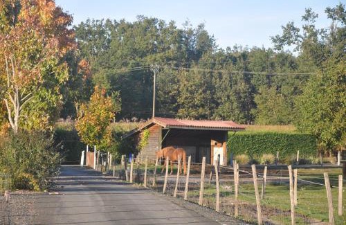 Poncins Complejo | Nid Douillet