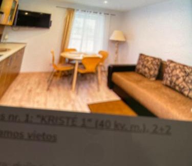 Nida Apartamento | Nida rent